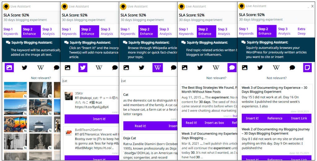 Screenshot of the Squirrly SEO Live Assistant's Blogging Assistant feature offering content enhancement options